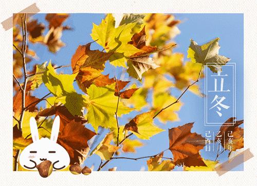 立冬吃什么菜可以补身体,今日立冬进补视频