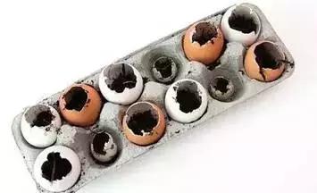 鸡蛋壳手工作品创意幼儿园,碎鸡蛋壳手工粘贴画动物图案