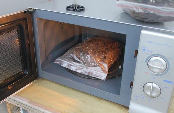 养花就怕土壤带菌！该怎么解决隐患？学会这3招，方便又实用