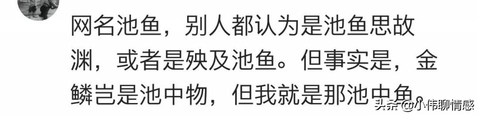 你的网名寓意什么,你的网名寓意是什么