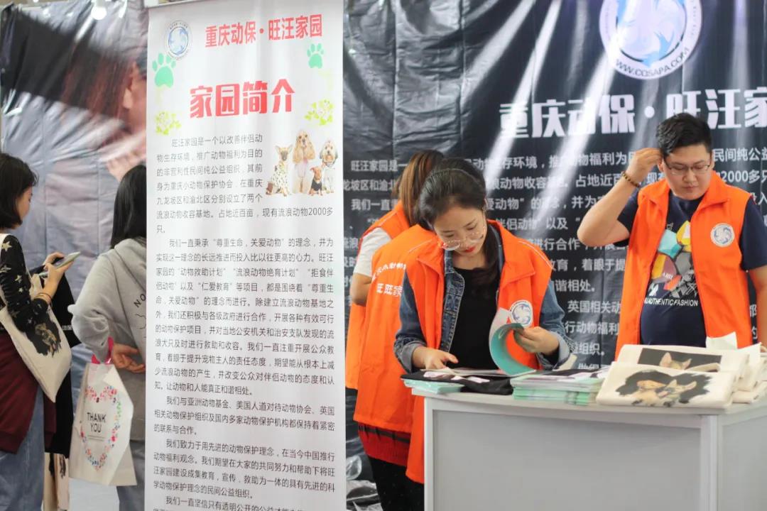 CPF活动预告|阿派第30届领养日——人间值得，只要它能与你相遇