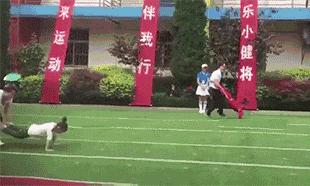 搞笑瞬间笑死我,搞笑时刻笑死我了