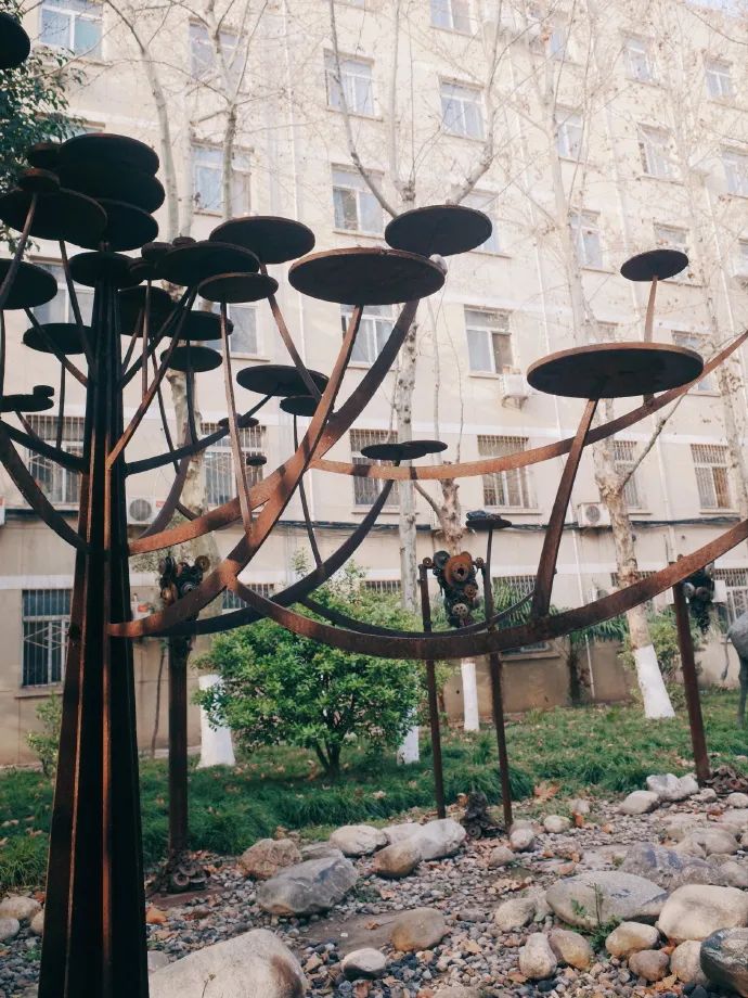 九大美院校园风景,中国九大美院校园风采