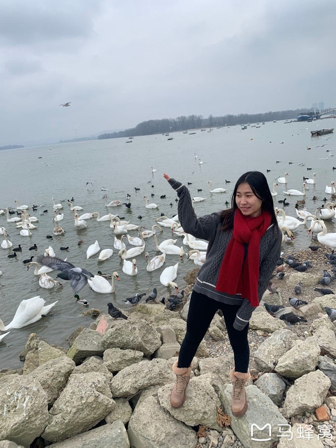 塞尔维亚游记,难忘的欧洲之旅