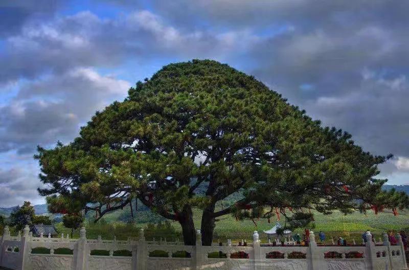 閾佸箔鍗拌薄濡備綍,閾佸箔鍗拌薄