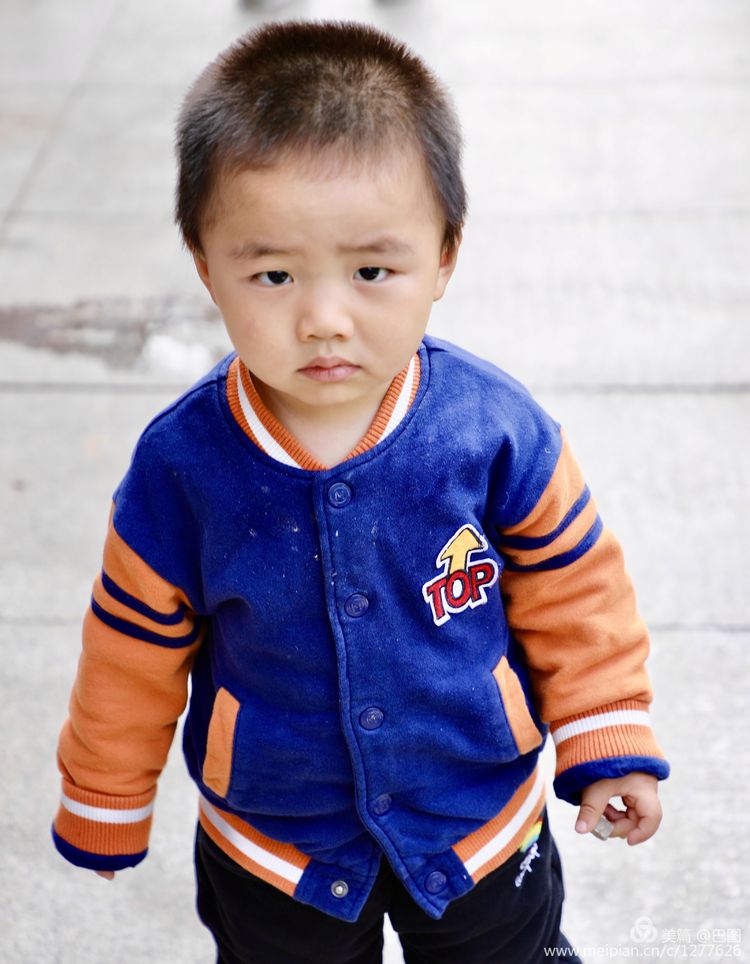 看洛阳牡丹花卉节,洛阳古都牡丹花展