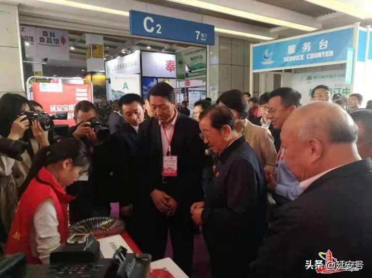 鍔涢噺2020,鍔涢噺2022