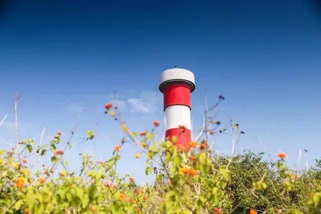 福建小垦丁镇海角图片,镇海角小垦丁视频素材