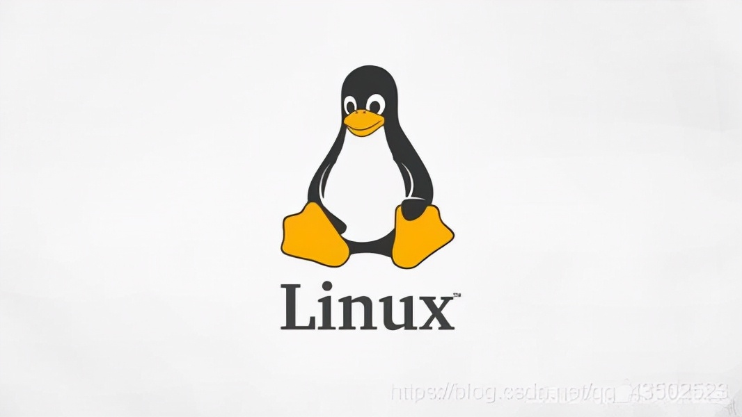 linux新手入门,linux解压缩的命令