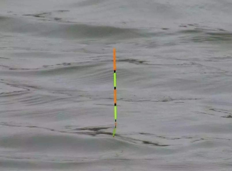 21目小碎目浮漂钓鲫鱼调几目最佳,浮钓调漂的正确方法与技巧