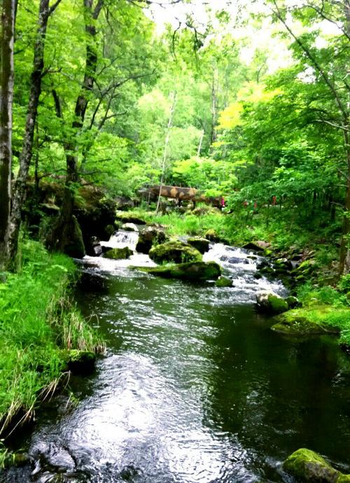 “丘中赏”寄“物外心”——古代文人不爱美人爱丘山?