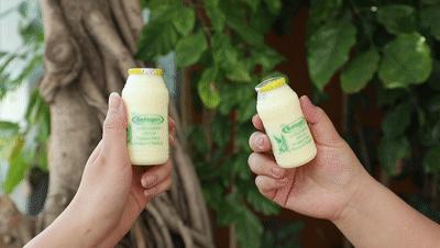 泰国乳酸菌饮品,泰国乳酸菌饮料试吃