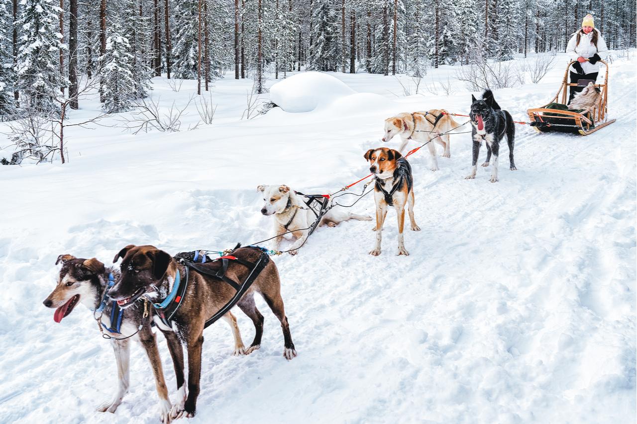 瑞典旅游景点攻略一日游路线,瑞典旅游自由行