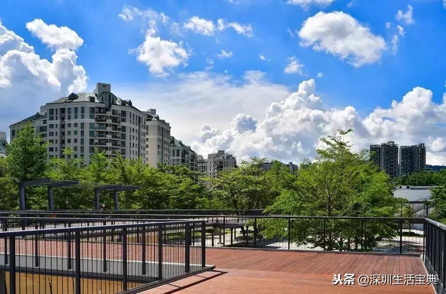 深圳还属于世界一线弱城市吗,深圳一线城市