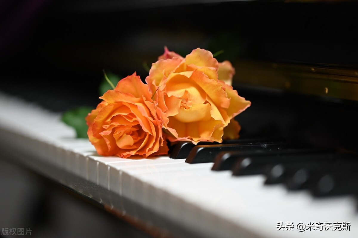 李云迪事件社会影响,关于李云迪事件的理解