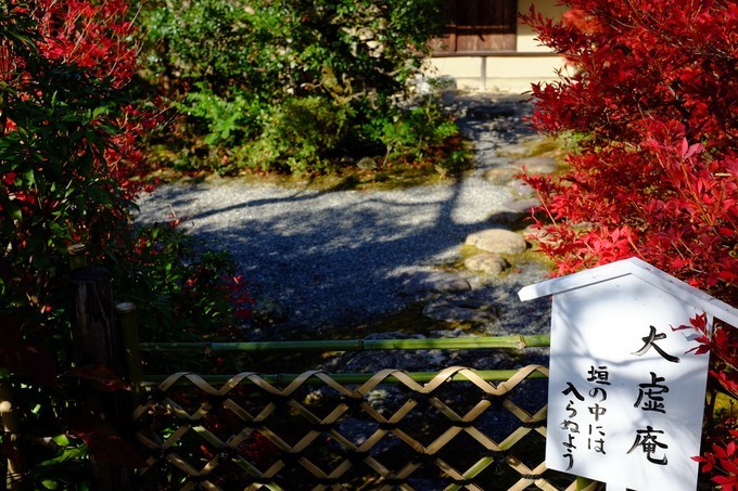 京都赏枫2022,京都赏枫必去景点有哪些好玩的