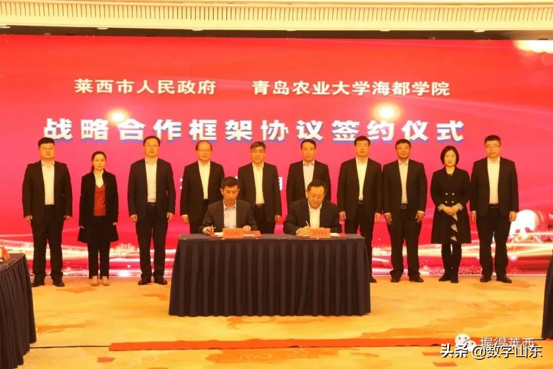 青岛农业大学海都学院落地莱西