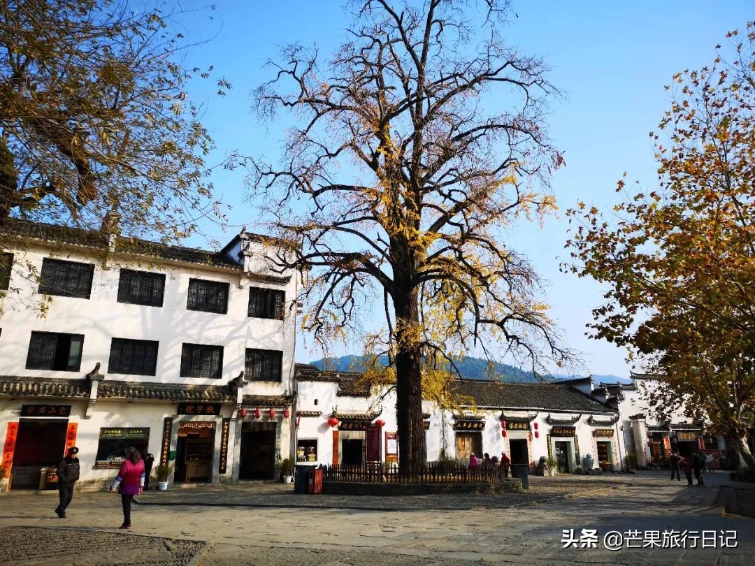 都说安徽宏村非常商业化,事实到底如何?跟着芒果去一探究竟