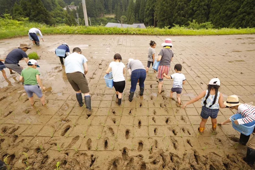 雪山下的温泉美丽,最值得去的有雪山温泉的地方