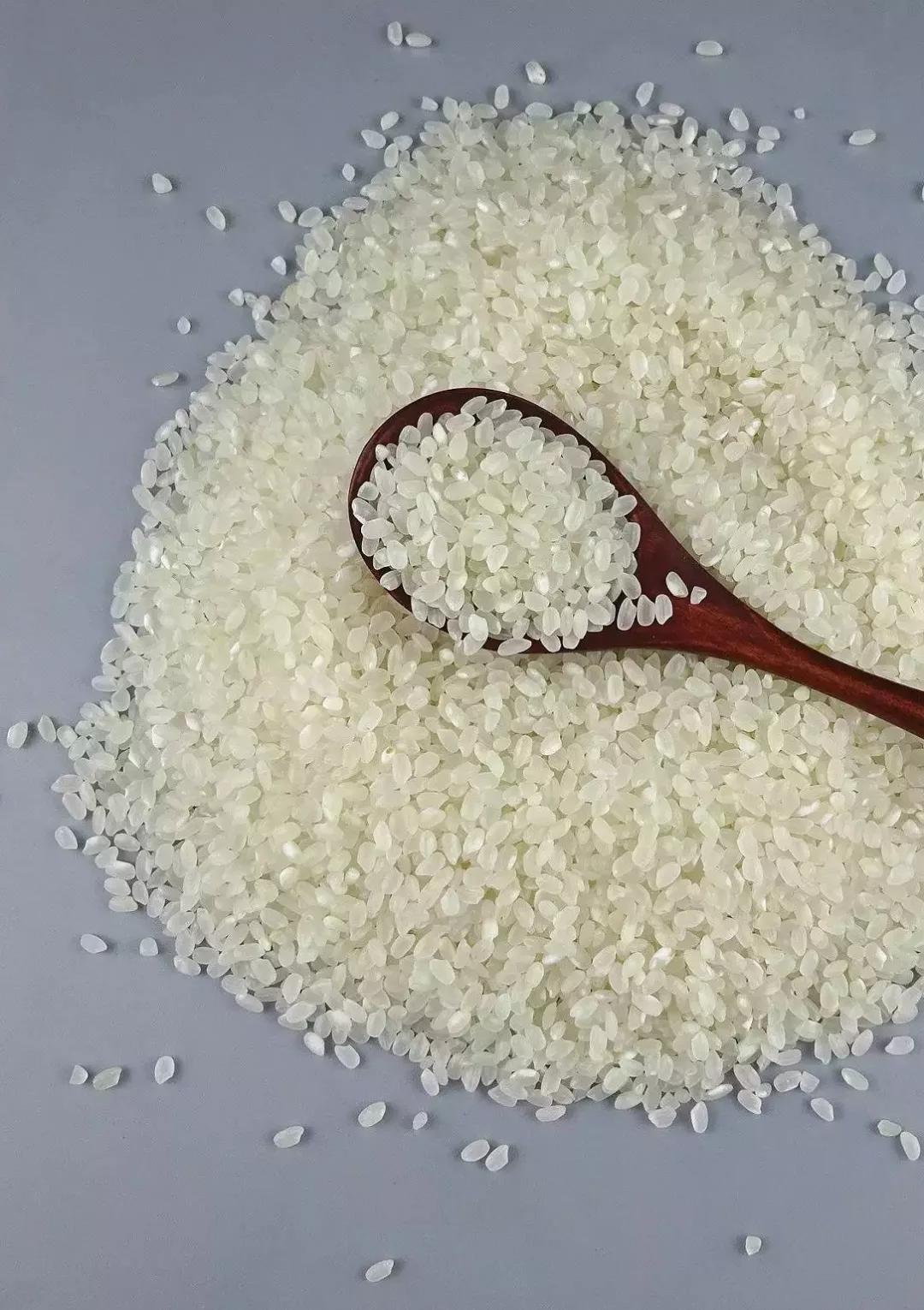 为什么大米夏天生虫子,大米在什么情况下会生虫子