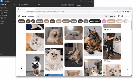 设计师常用的免费素材网站,素材管理软件哪个比较好用