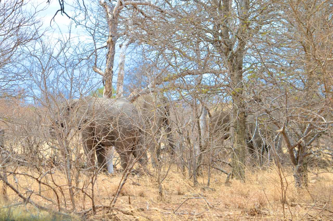 纪录片南非探险记,南非游记纪录片