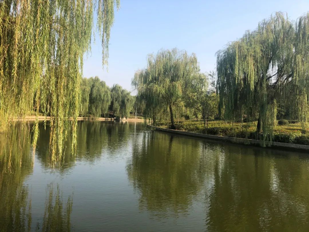 周庄村表彰大会,美丽中国江苏江阴周庄