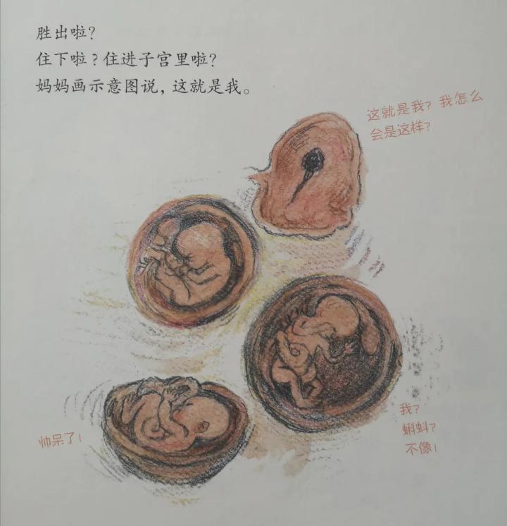 给孩子谈生死的绘本,生命教育怎么教100本绘本告诉你