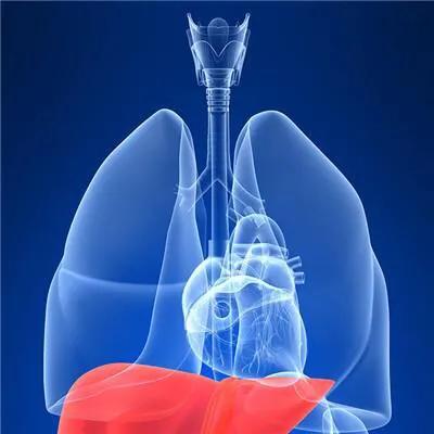 肺结核最忌口的食物鱼可以吃吗,肺结核ppd做完有没有什么饮食忌口