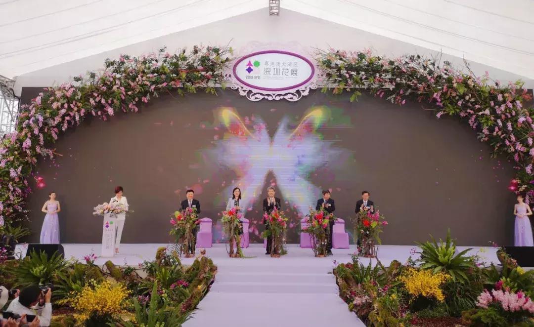 未来10天预警，深圳最最最最火的地方在这里，美女都赶来打卡