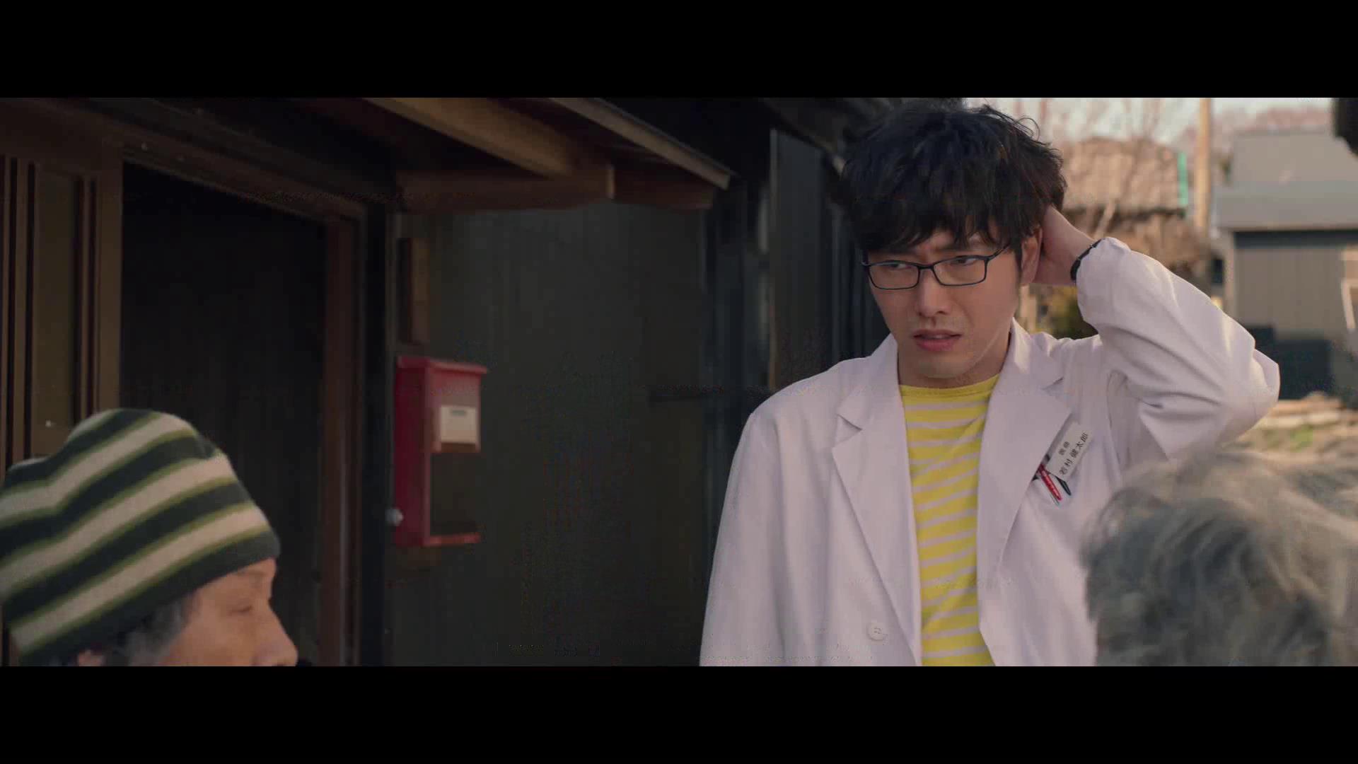 十部顶级治愈系猫片,十部顶级治愈猫的电影