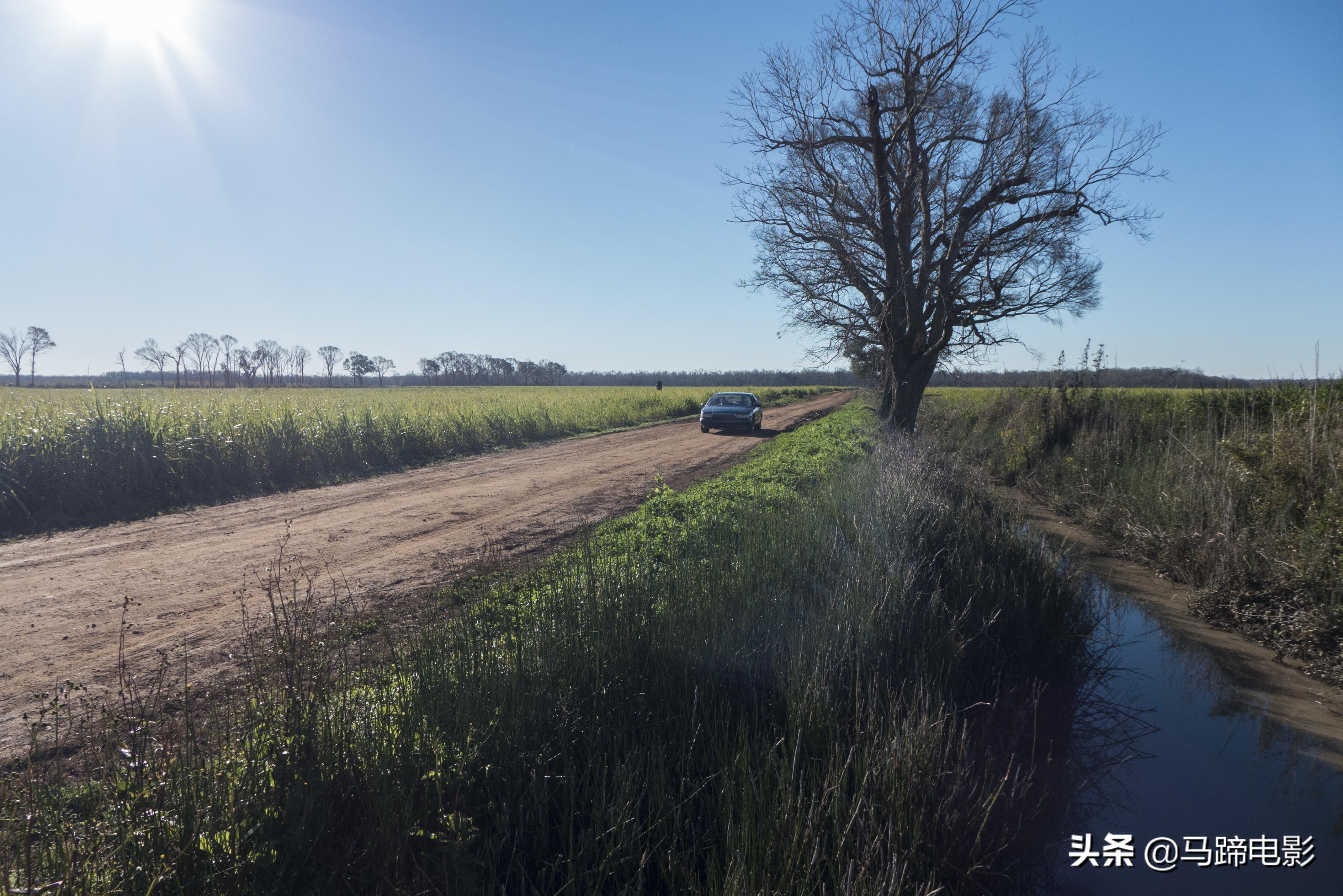 豆瓣评分高的冷门佳作,豆瓣8.7分又一部值得珍藏的电影