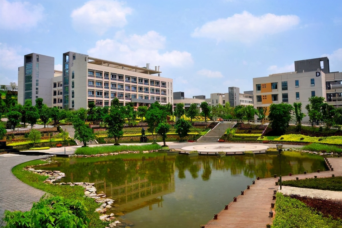 重庆高职电子技术类总分排名,重庆高职电子技术类学校有哪些