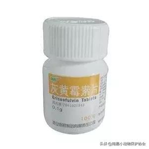 治疗狗皮肤病最见效的药,狗子皮肤病治愈全过程