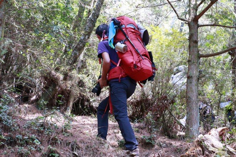 盘点小学生穿不起的鞋,lowa户外徒步鞋哪款是经典款