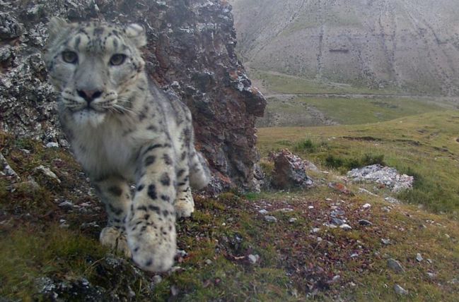 张掖是哪里,什么是张掖人