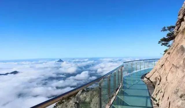 黄山秋景几月去最好,秋天几月份去黄山最好看的花海