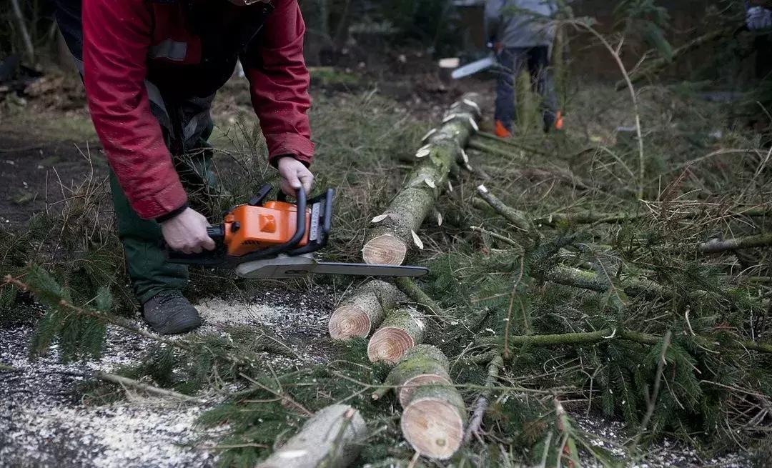 油锯切割几分钟就熄火,油锯切割木料切不整齐