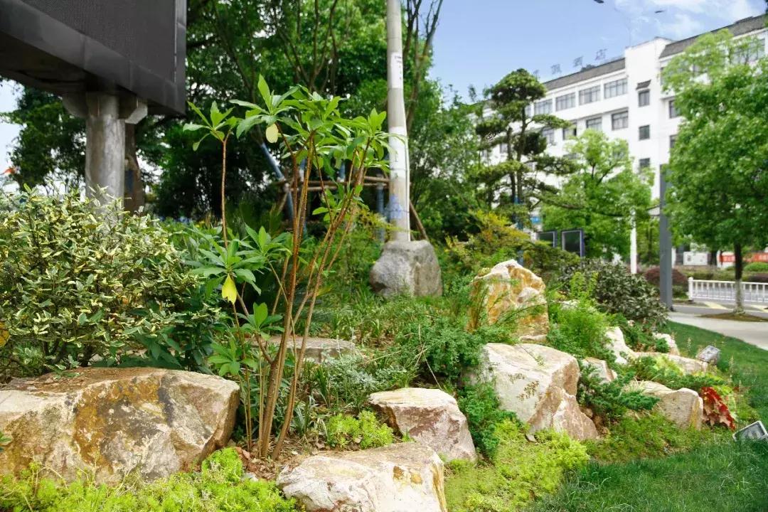 一石百景寸石丈情