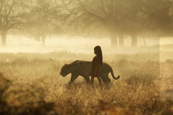 四部奇幻小说,史诗级别热血征战,《放开那个女巫》极具反差萌