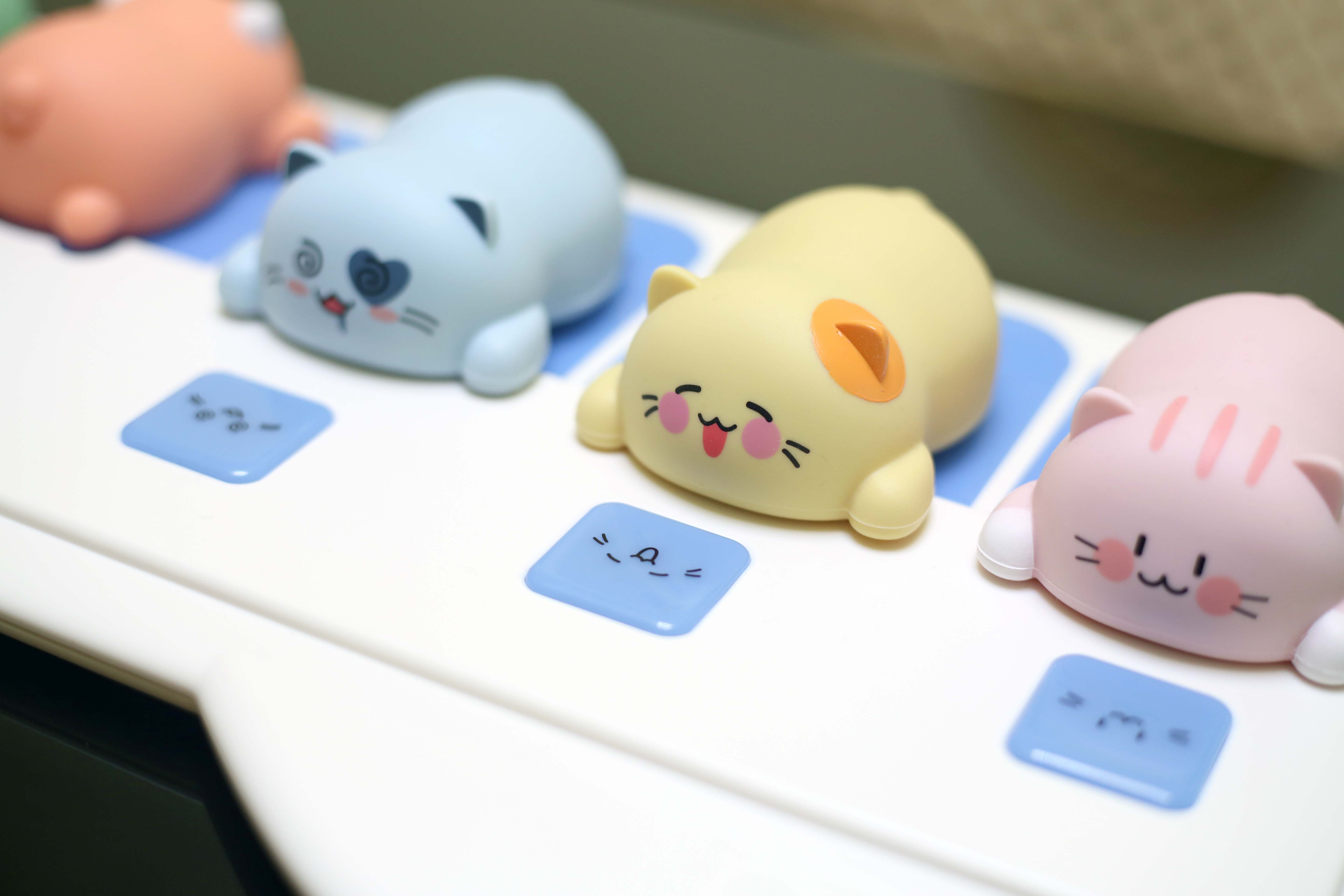 适合撸猫的猫咪,撸猫爱好者