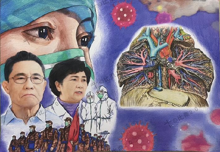 简单易画的人体解剖图,灵魂画手美术生