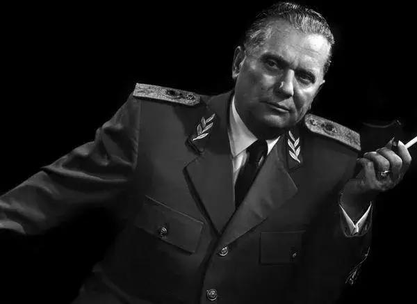 夹缝里寻求生存,夹缝中求生存具有顽强的生命力