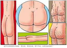 家长们,别再羞答答了,快亲手替孩子填上“*启蒙性**”这个坑吧!