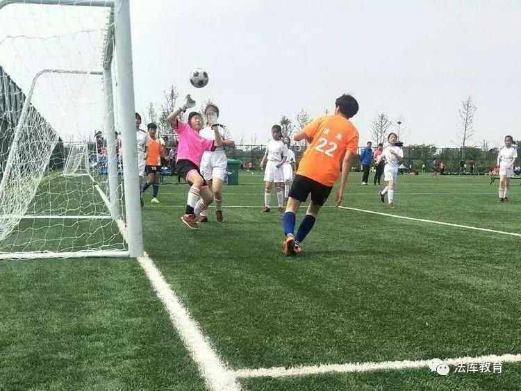 2019年沈阳市青少年校园足球比赛,2019辽宁省青少年足球锦标赛