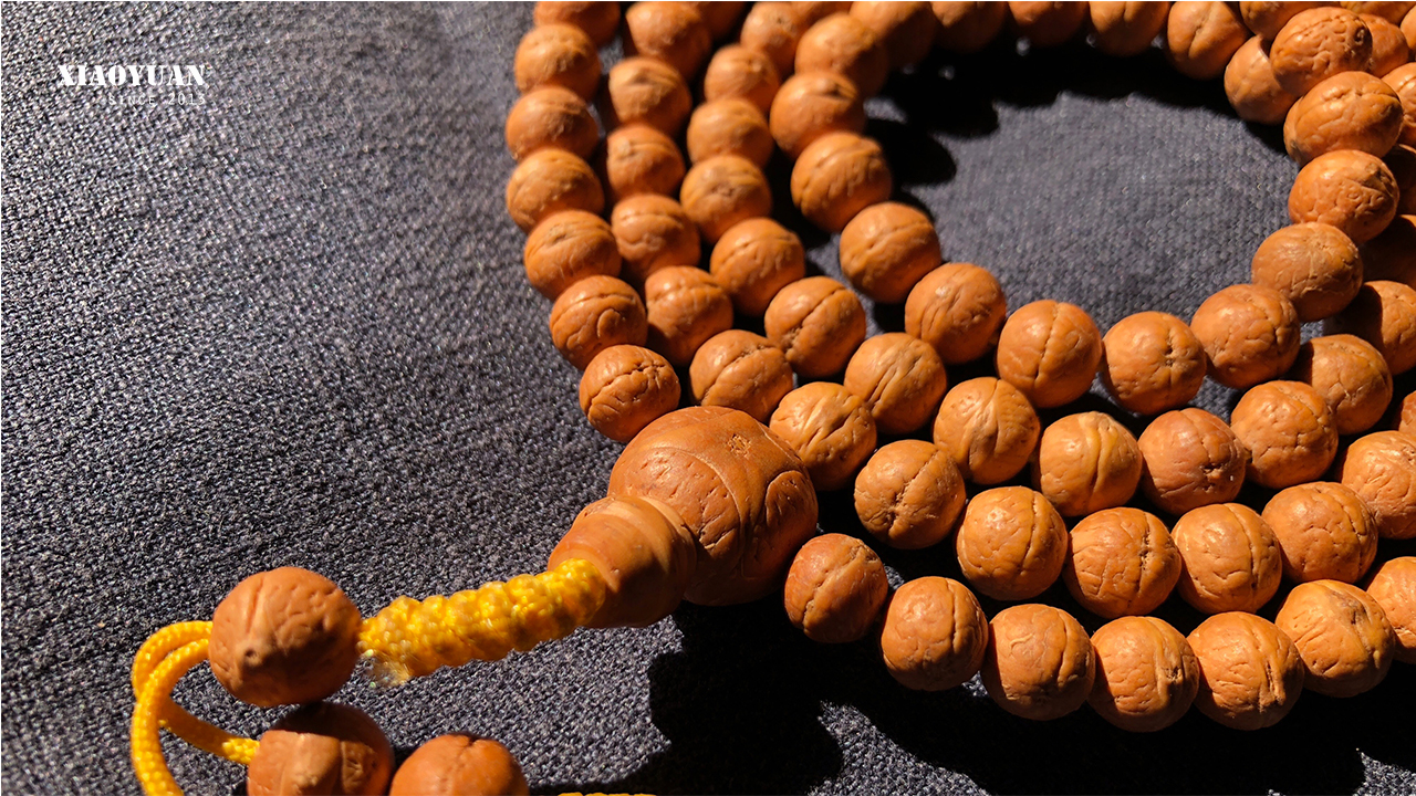 凤眼菩提价格高低的区别,凤眼菩提为啥那么贵