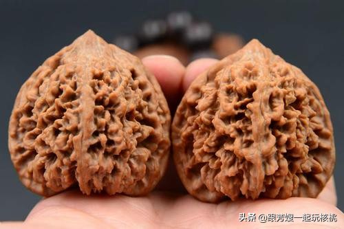 文玩核桃大刺和大花是一个品种吗,最好的文玩核桃是什么品种