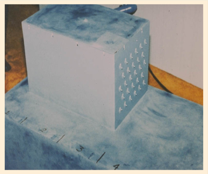 可能是史上最完美的*弹炸**，案子破了30年它仍然被FBI用作训练