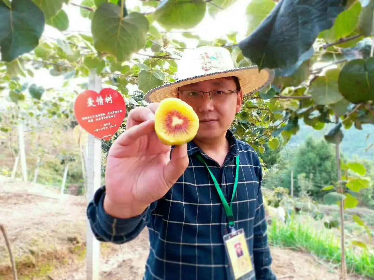 2020乡村振兴补贴新政策出台,乡村振兴2023最新政策解读