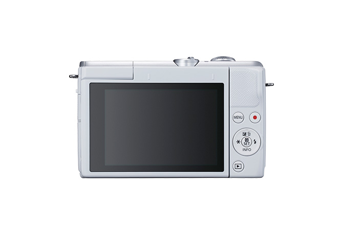 佳能不同相机人像的区别,佳能不同的ccd有什么区别